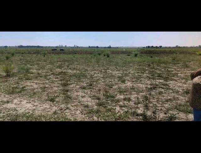 LAND FOR SALE IN KOPPIES